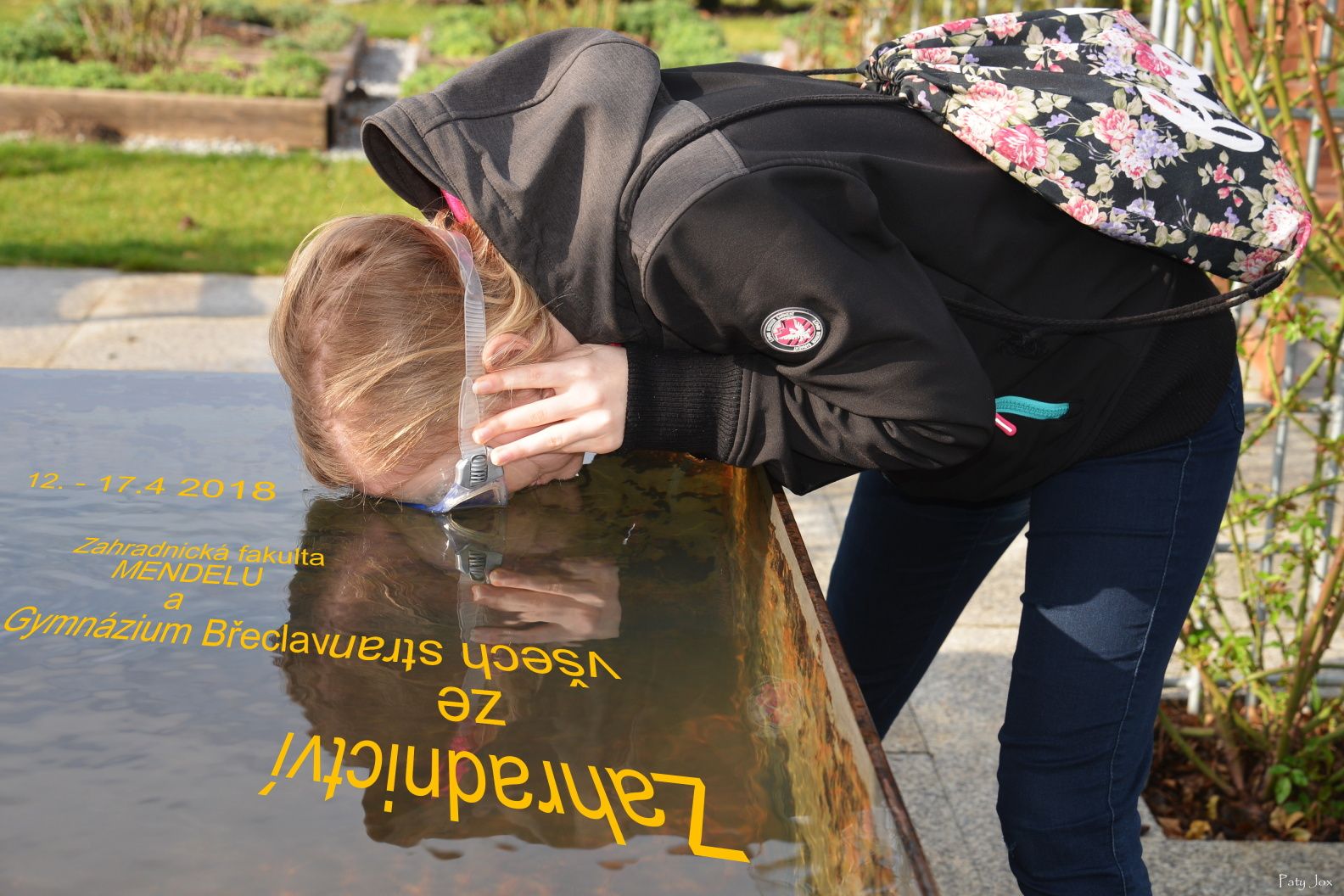 Navázali jsme spolupráci se Zahradnickou fakultou MENDELU v Lednici