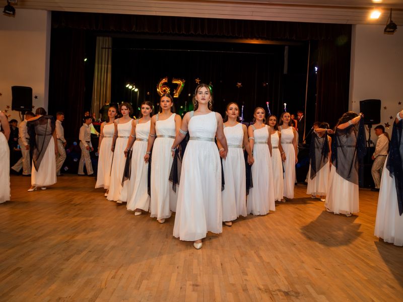 67. reprezentační ples v obraze