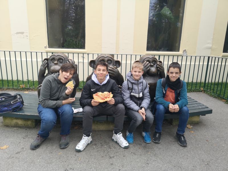 Výlet do Zoo Schönbrunn