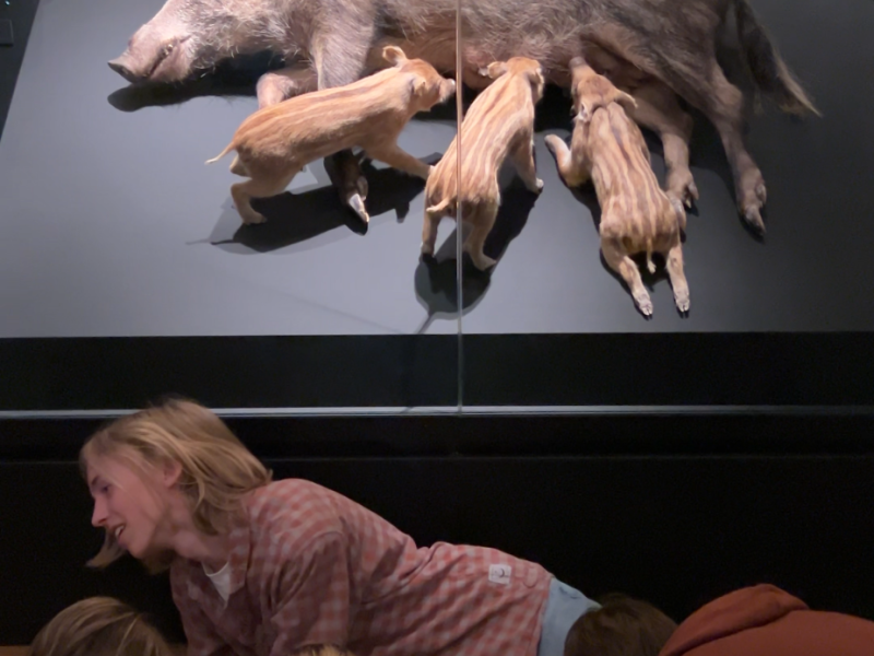 Kvarta navštívila Národní muzeum v Praze a brněnské planetárium