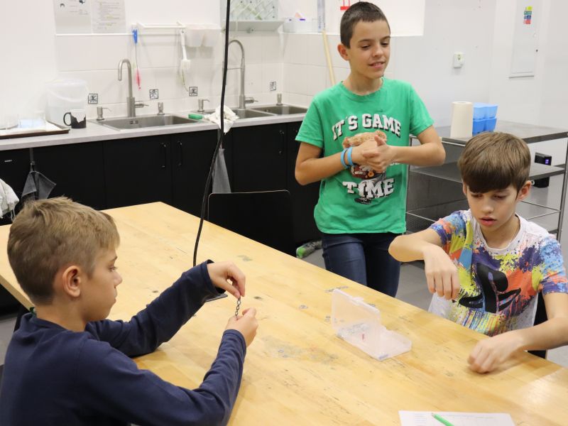 Prima ve VIDA CENTRU