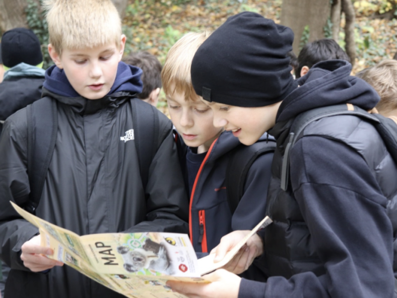 Výlet do Zoo Schönbrunn