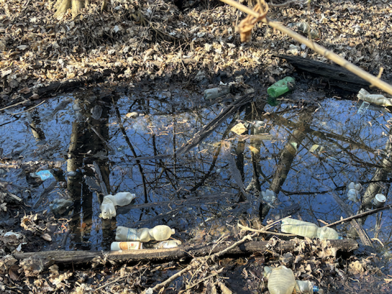 4.A se zapojila do akce Ukliďme Břeclav