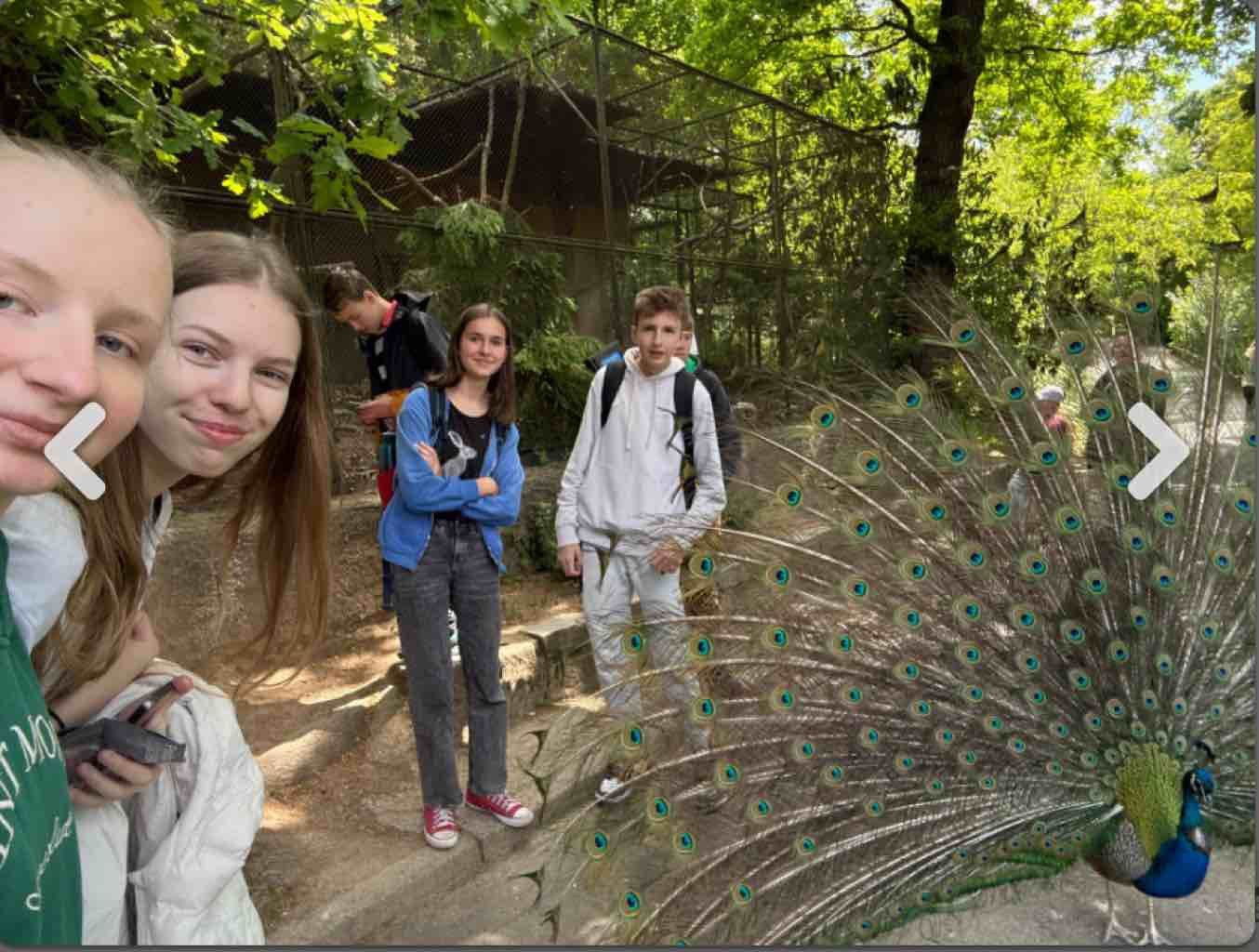 Studentská firma LosAmigos a tercie v ZOO Brno